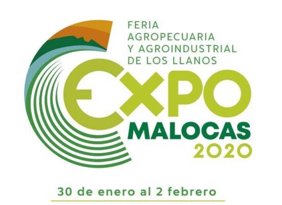 Programación Expomalocas 2020