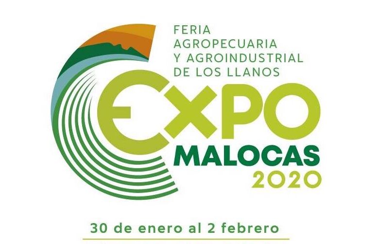 Programación Expomalocas 2020