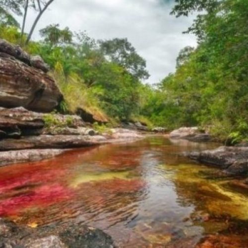 caño cristales-rutas turísticas