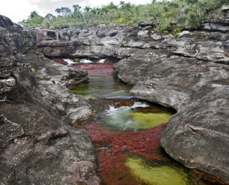 caño cristales-caño cristales